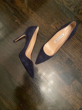 Manolo Blahnik Navy Suede Pointed Pumps